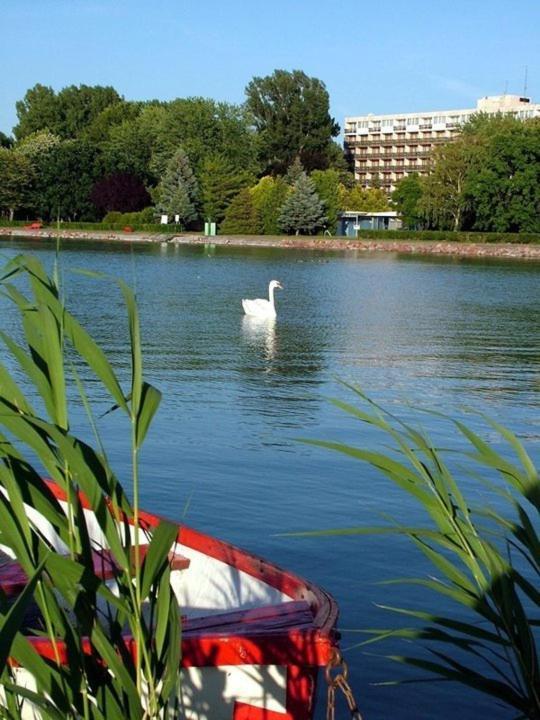 Riviera Park Hotel Balatonföldvár Buitenkant foto